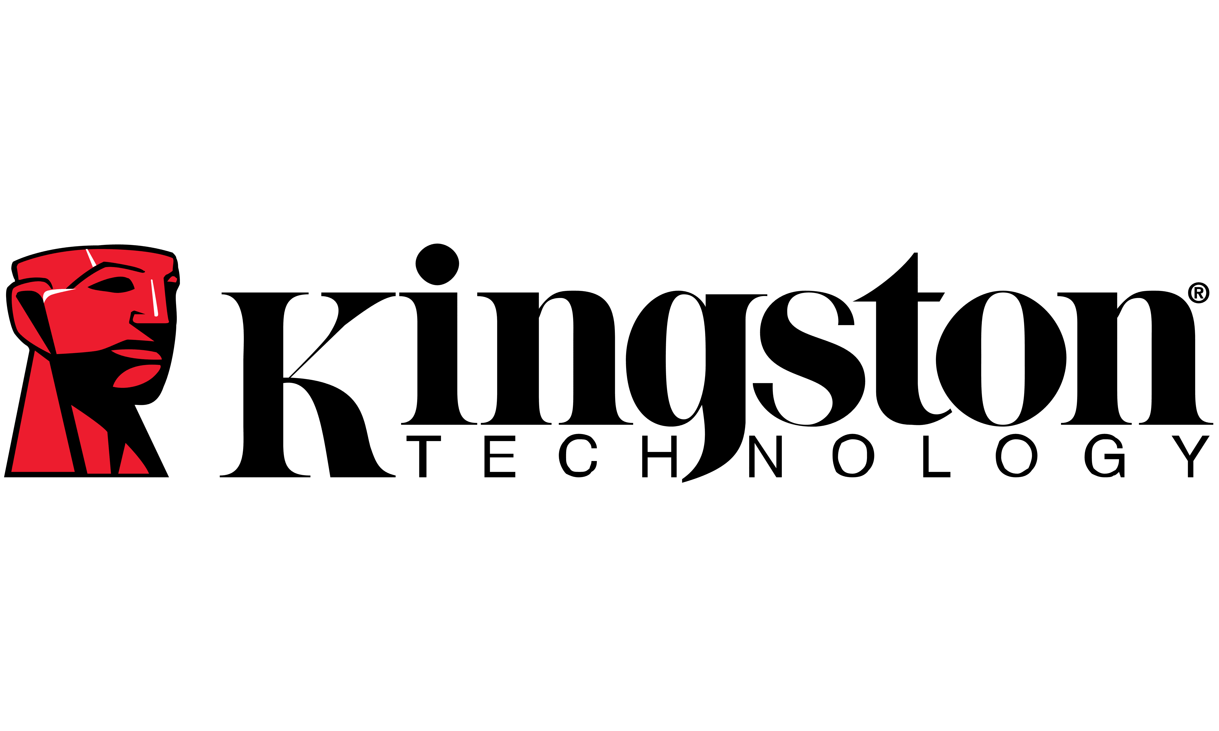 Kingston - logo
