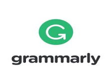Grammarly Business Team - subscription license