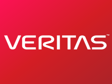 VERITAS NetBackup Standard Client - On-Premise license - 1 serve